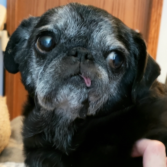 Hi, I'm Ruthie!!! :) - Picture 2 of 5